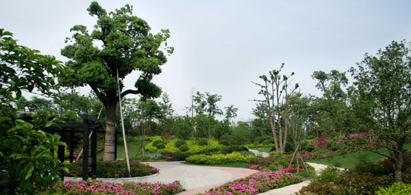 公司簡(jiǎn)介